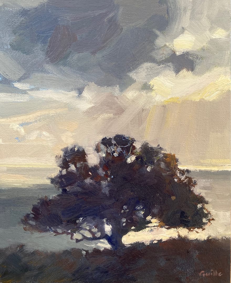 Splendid Isolation Sark old oak tree