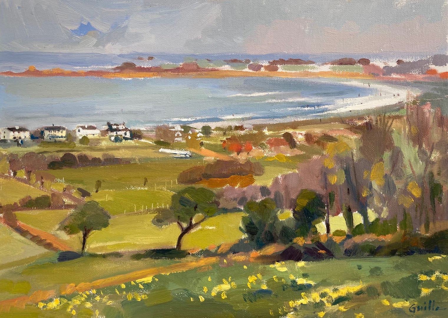 St Saviour's Daffodils- Sold St Saviour's Daffodils- Sold