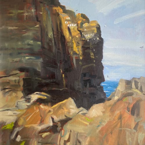 Guillemots at Grand Autelet