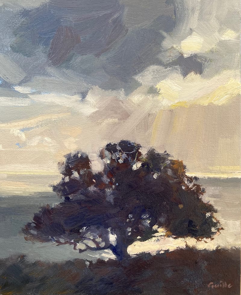 Sark old oak tree